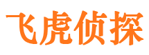 广河外遇调查取证